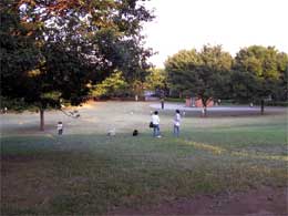 東京のホームページ作成は世田谷の合同会社ケイエックス2